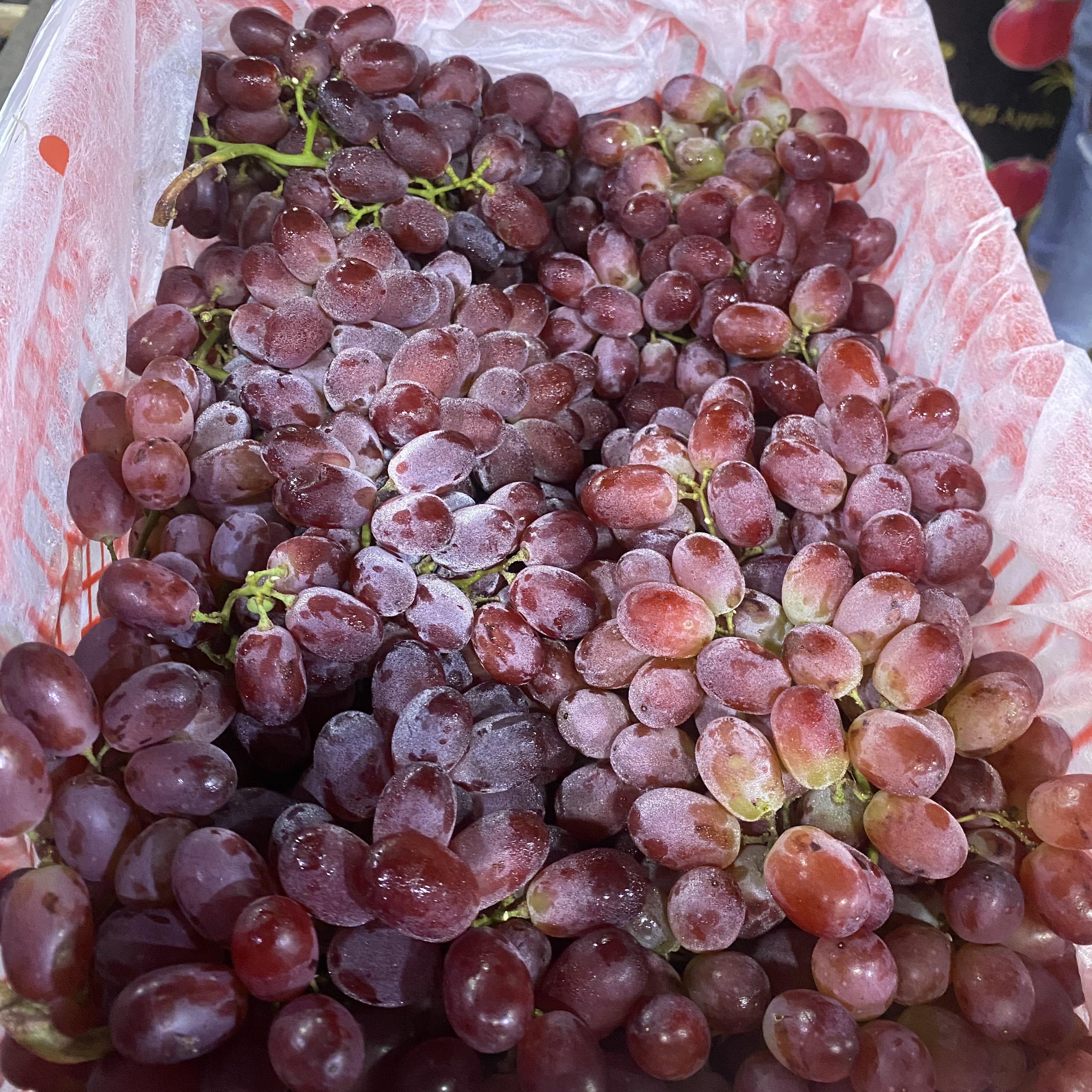 Eagle Seedless Red Grapes