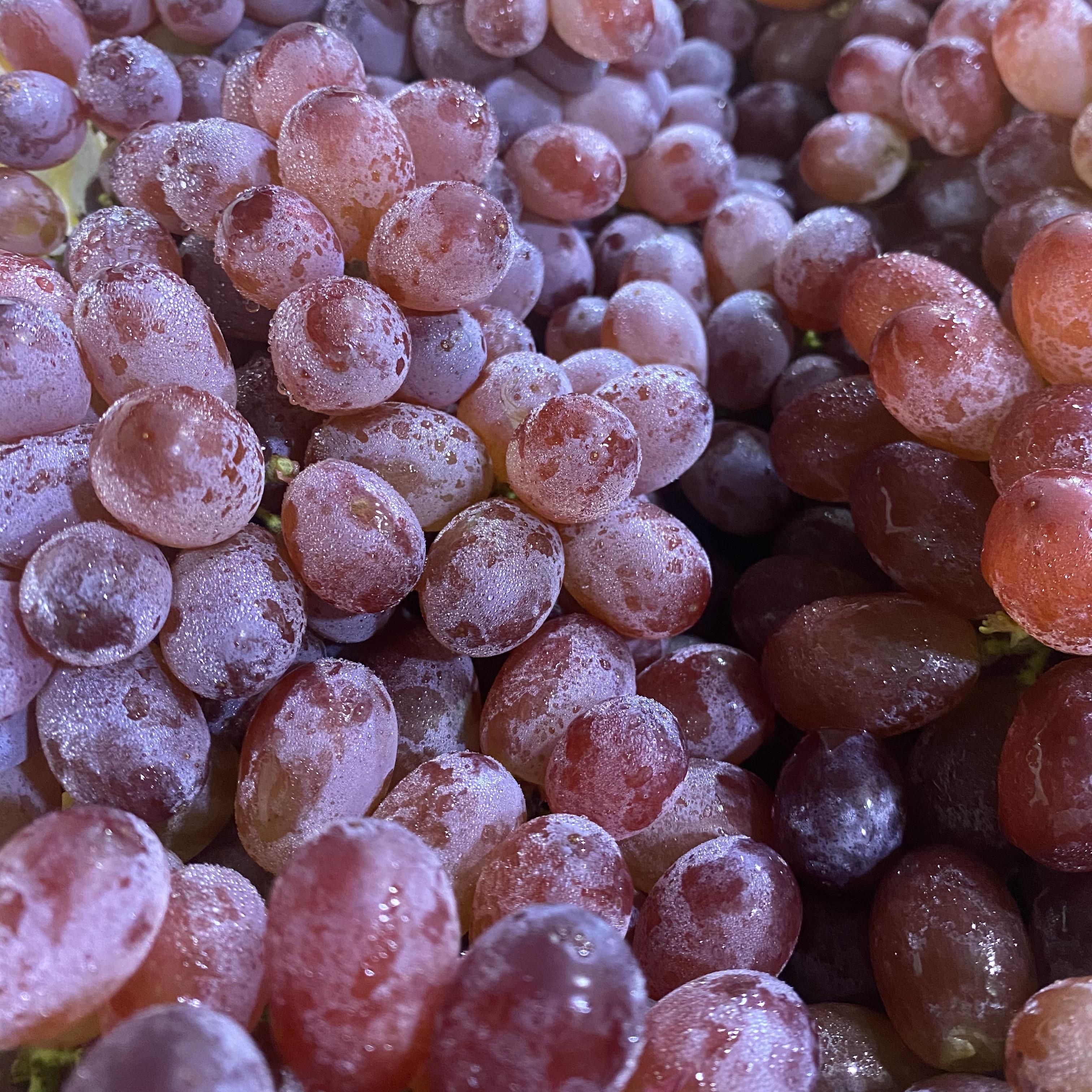 QY Red Grapes