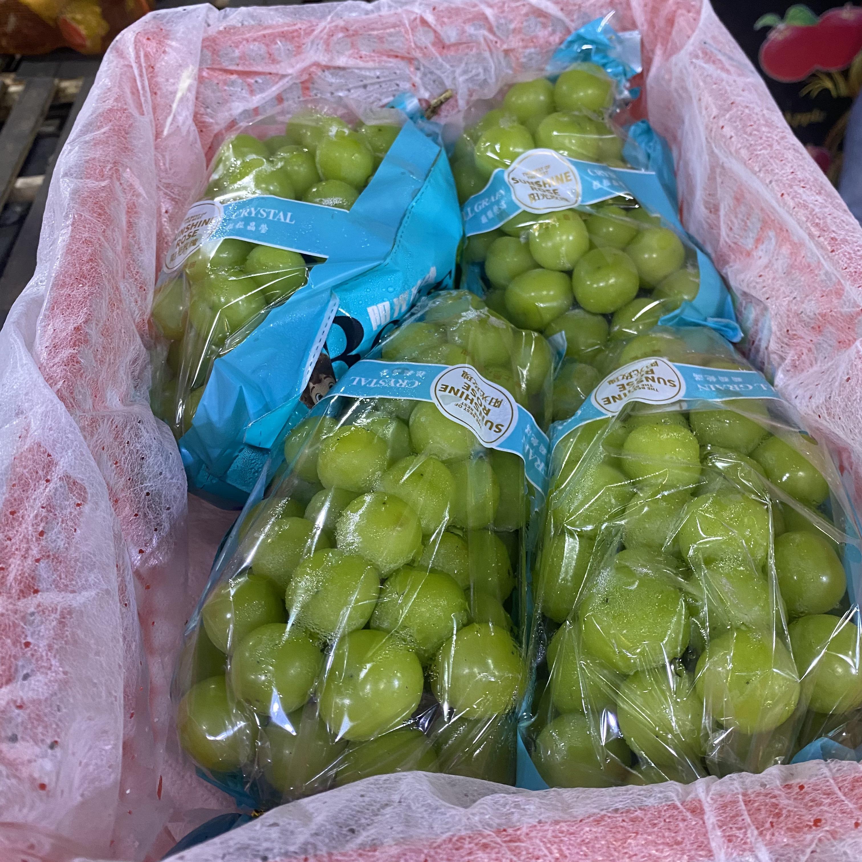 China Muscat Grapes