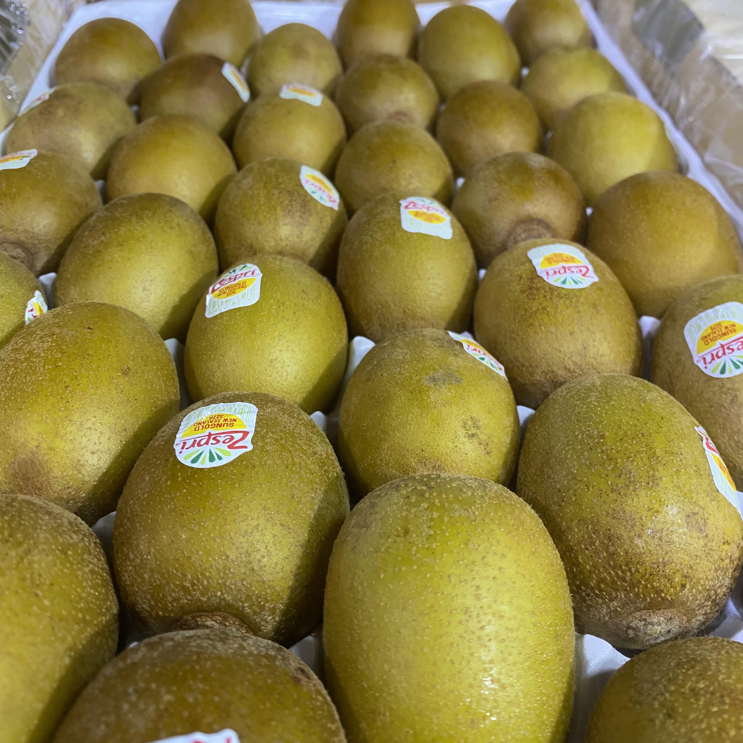 Zespri kiwifruit SUNGOLD #36